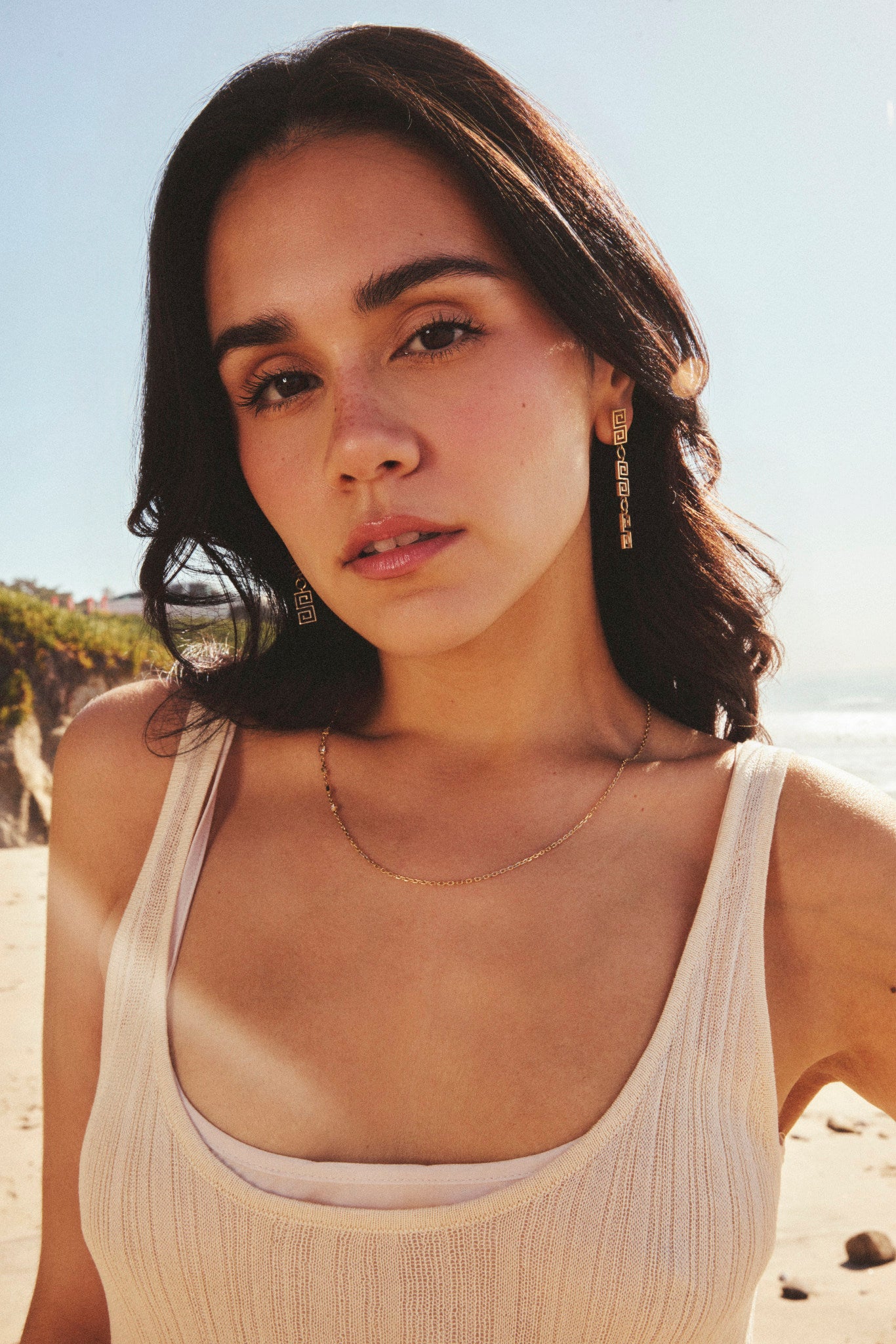 14k Gold S-Chain Earrings